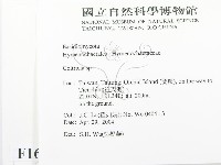 集毛菌屬藏品圖，第2張