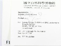 登錄號:F0016556藏品圖，第2張