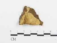 登錄號:F0016556藏品圖，第1張