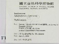 絲齒菌屬藏品圖，第2張