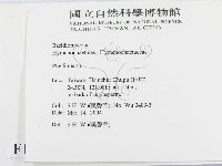 木層孔菌屬藏品圖，第2張