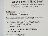 登錄號:F0016563藏品圖，第2張