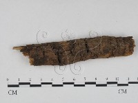 登錄號:F0016565藏品圖，第1張
