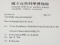 登錄號:F0016567藏品圖，第2張