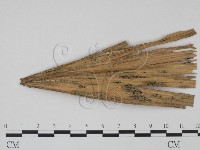 登錄號:F0016567藏品圖，第3張