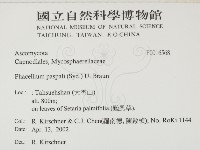 登錄號:F0016568藏品圖，第2張