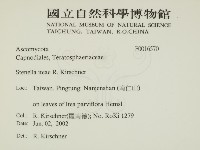 登錄號:F0016570藏品圖，第2張