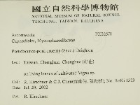 登錄號:F0016571藏品圖，第2張
