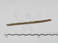 登錄號:F0016572藏品圖，第3張