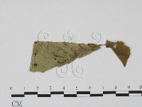 登錄號:F0016573藏品圖，第1張