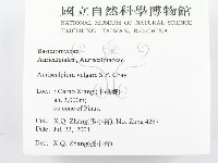 登錄號:F0016576藏品圖，第2張