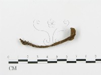 登錄號:F0016576藏品圖，第3張