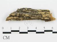 登錄號:F0016577藏品圖，第1張