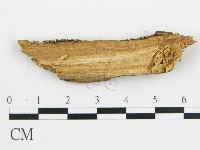 登錄號:F0016577藏品圖，第3張