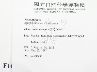 登錄號:F0016578藏品圖，第2張