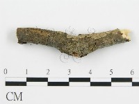 登錄號:F0016578藏品圖，第1張