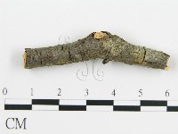 登錄號:F0016578藏品圖，第4張