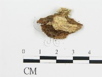 登錄號:F0016579藏品圖，第4張