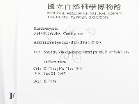 登錄號:F0016580藏品圖，第2張