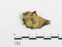 登錄號:F0016580藏品圖，第1張