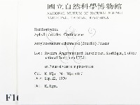 登錄號:F0016581藏品圖，第2張