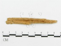 登錄號:F0016581藏品圖，第3張