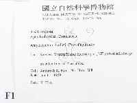 登錄號:F0016582藏品圖，第2張