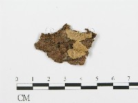 登錄號:F0016582藏品圖，第1張