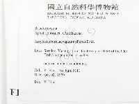 登錄號:F0016583藏品圖，第2張