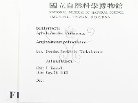 登錄號:F0016584藏品圖，第2張