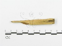 登錄號:F0016585藏品圖，第1張