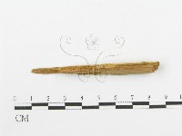 登錄號:F0016585藏品圖，第3張