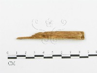 登錄號:F0016585藏品圖，第4張