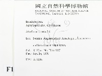 登錄號:F0016586藏品圖，第2張