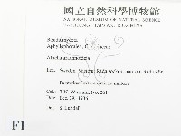 登錄號:F0016587藏品圖，第2張