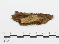 登錄號:F0016587藏品圖，第3張