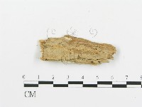 登錄號:F0016588藏品圖，第1張