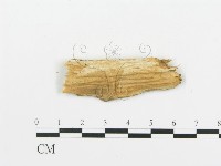 登錄號:F0016588藏品圖，第3張