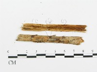 登錄號:F0016589藏品圖，第4張