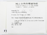 登錄號:F0016590藏品圖，第2張