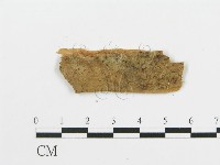 登錄號:F0016590藏品圖，第1張