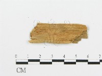 登錄號:F0016590藏品圖，第3張