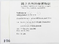 登錄號:F0016591藏品圖，第2張