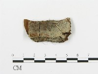 登錄號:F0016591藏品圖，第1張