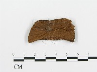 登錄號:F0016591藏品圖，第3張