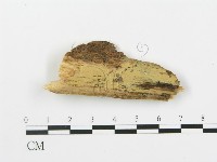 登錄號:F0016592藏品圖，第1張