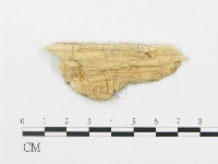 登錄號:F0016592藏品圖，第3張