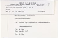 登錄號:F0016592藏品圖，第4張