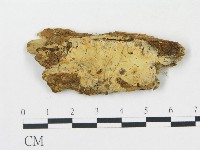 登錄號:F0016593藏品圖，第1張