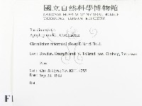 登錄號:F0016595藏品圖，第2張
